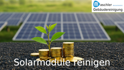Photovoltaik - Solarmodule Reinigung