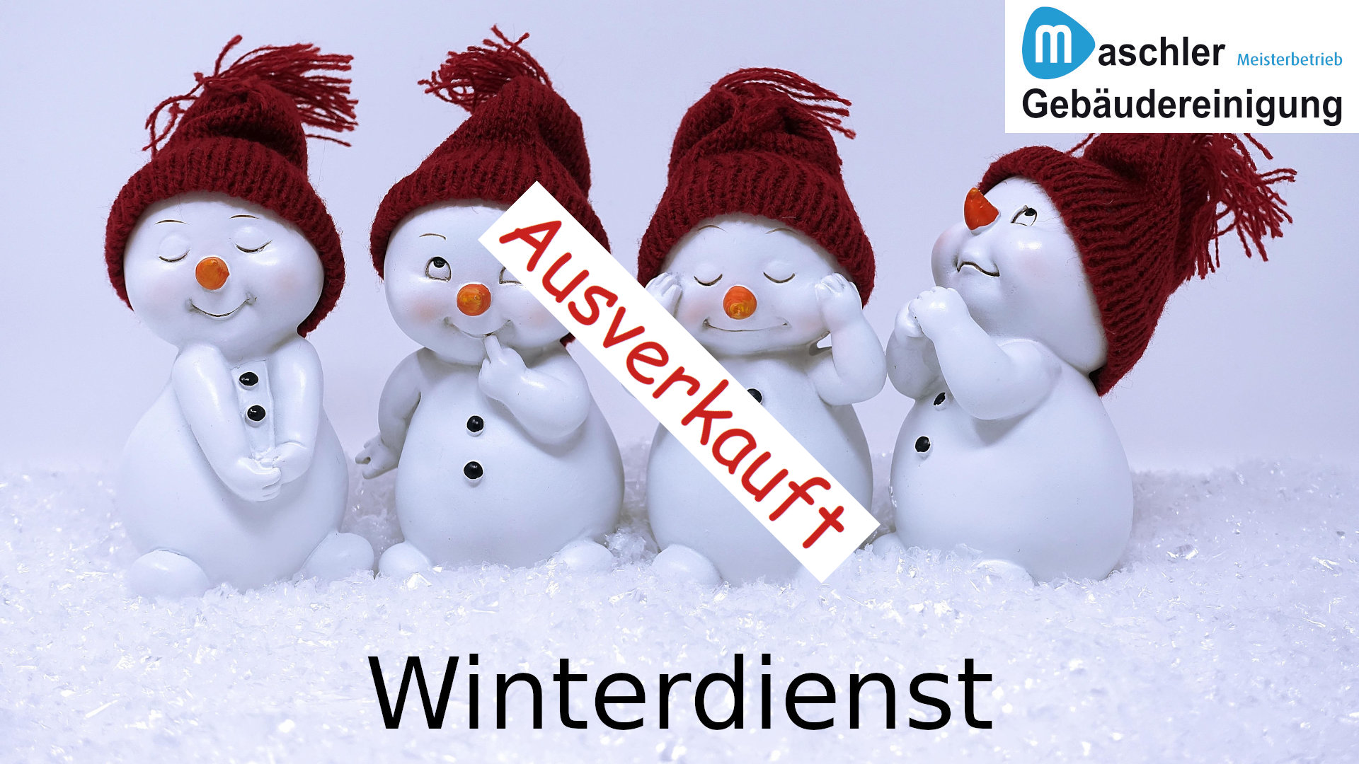 Winterdienst Schneeräumen & Streudienst